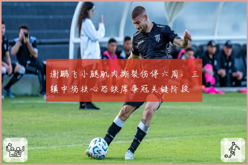 谢鹏飞小腿肌肉撕裂伤停六周,三镇中场核心恐缺席争冠关键阶段