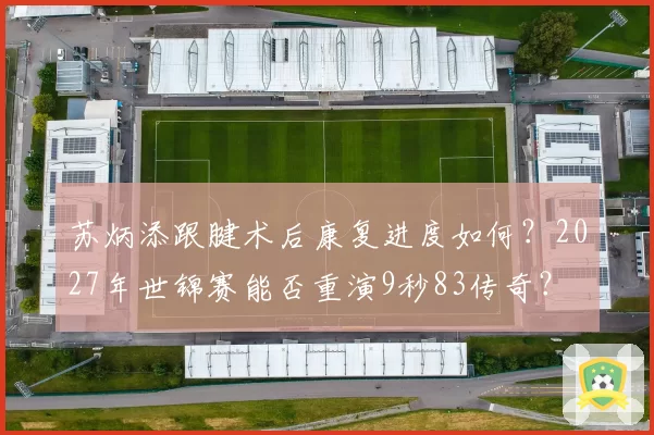 苏炳添跟腱术后康复进度如何？2027年世锦赛能否重演9秒83传奇？